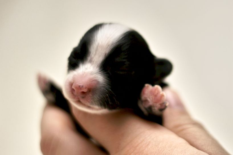 Yulilja Winter Spirit