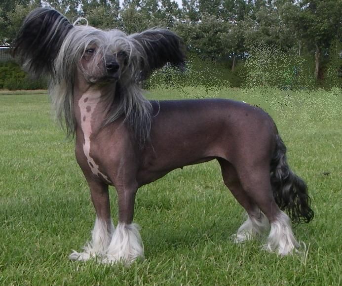 Untouchable's Everybody's Talkin'