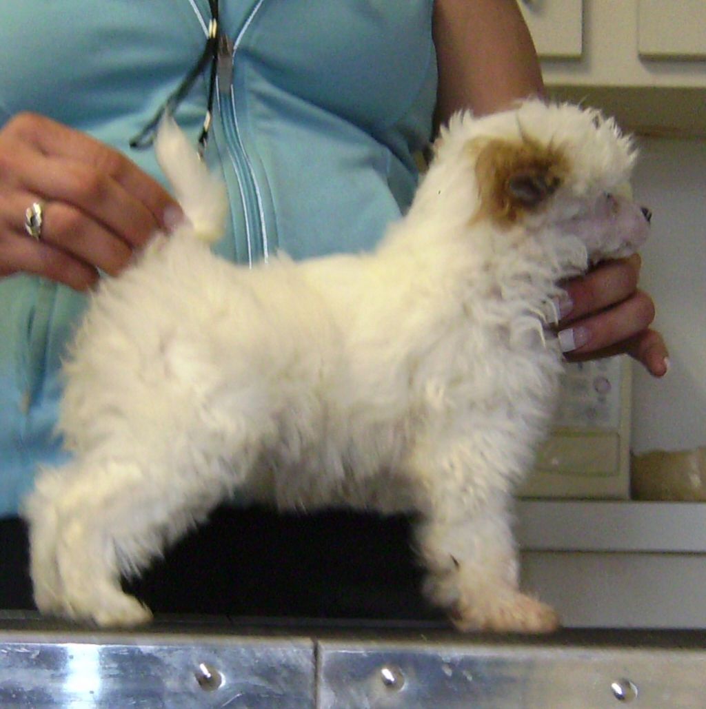 Kaylens RideAHorseSaveACowboy