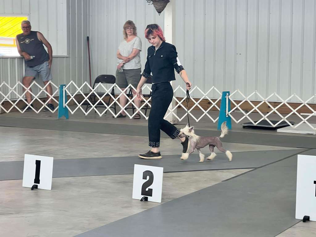 MaeBean Object Of My Confection