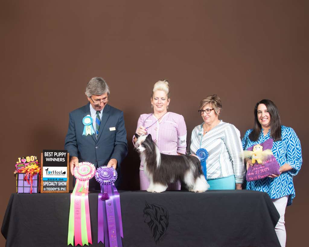 GRCh Brymar FHL Beauty Queen Step Aside