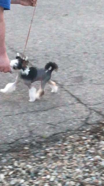 By Angel Wings Sweet Dreams