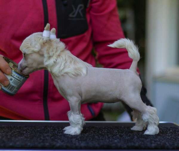 Maybell's My Foolish Soul