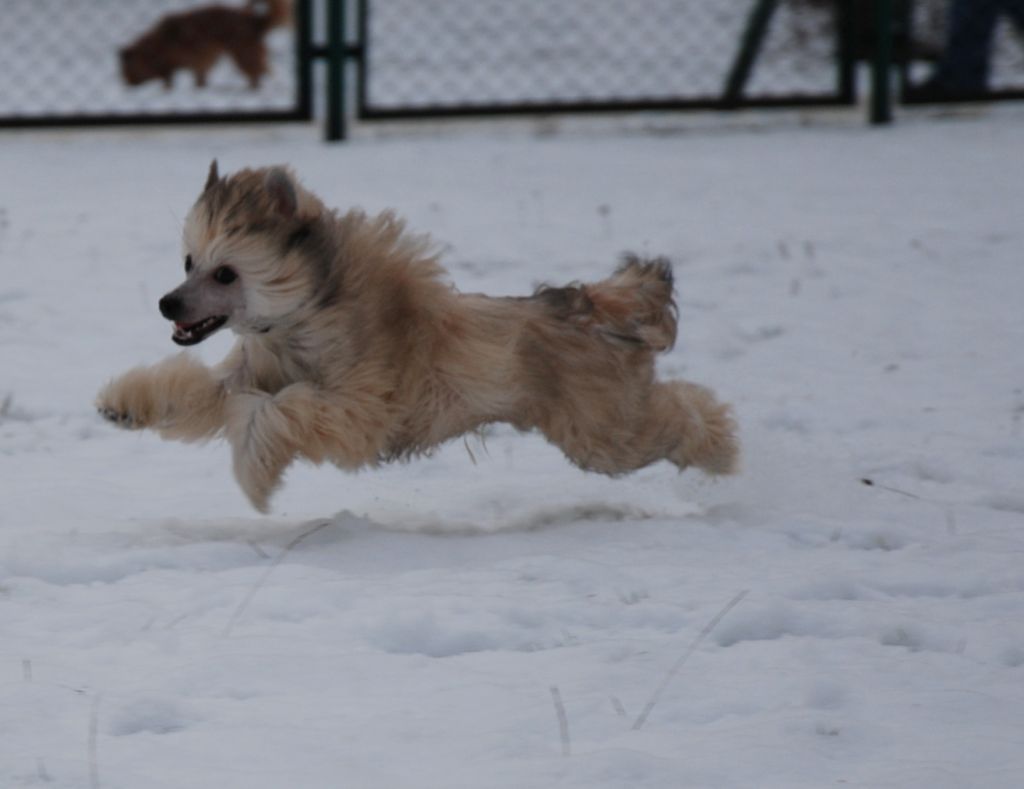 Boston Artagasamazis