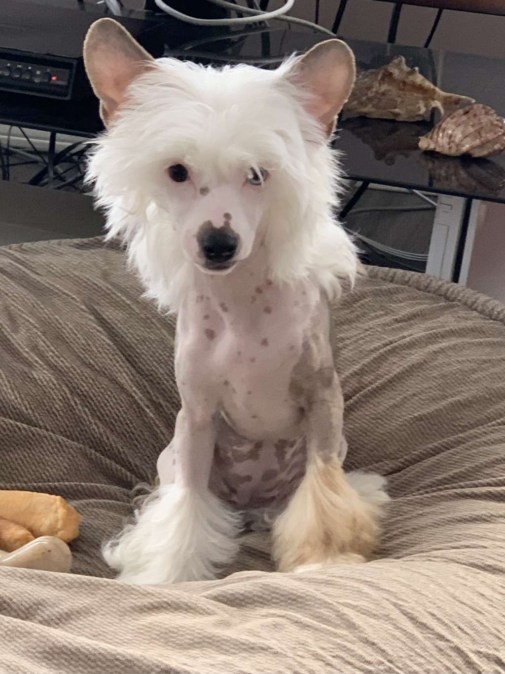 Hexs Towards The Sun