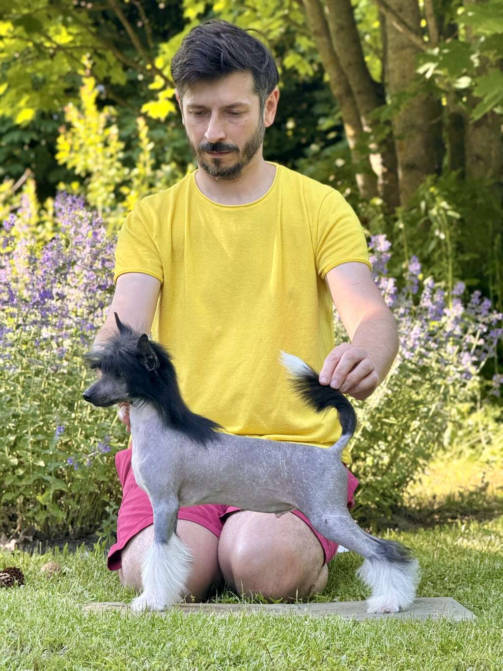 Sie Ogoli Next Germanika