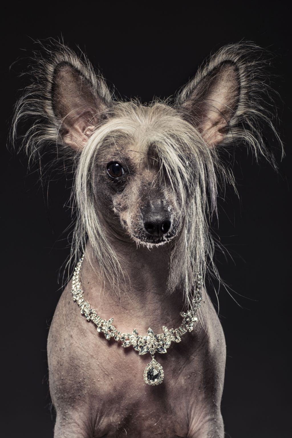 Bree Happy Doll ar Arenis Marri