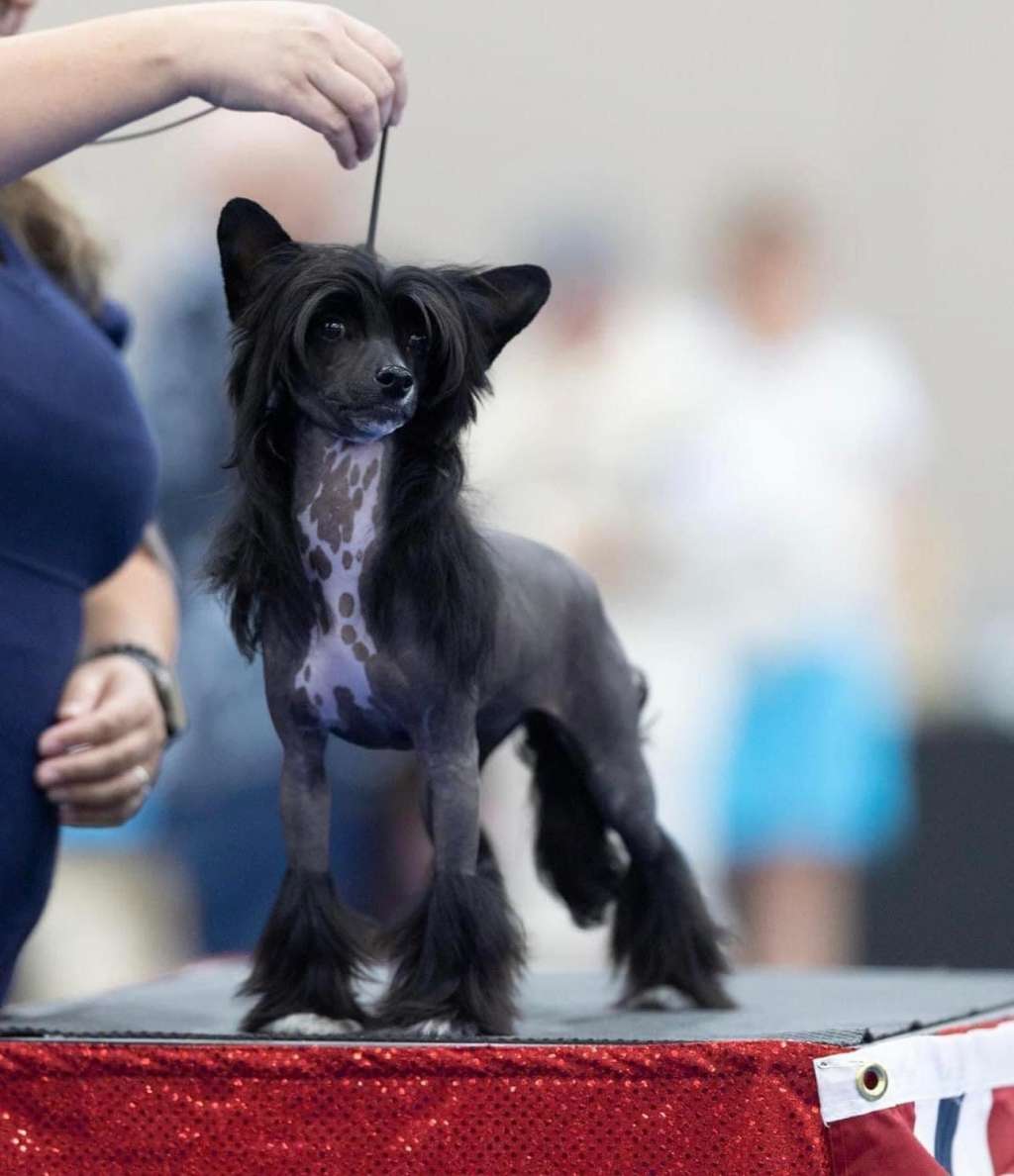 Haus Of Envy Spice It Up