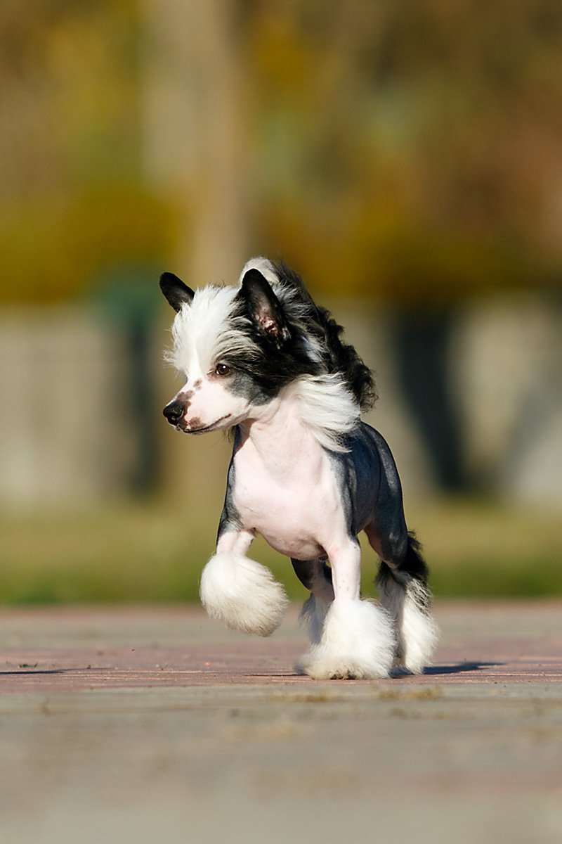 Sol'tanto Nobody's Business