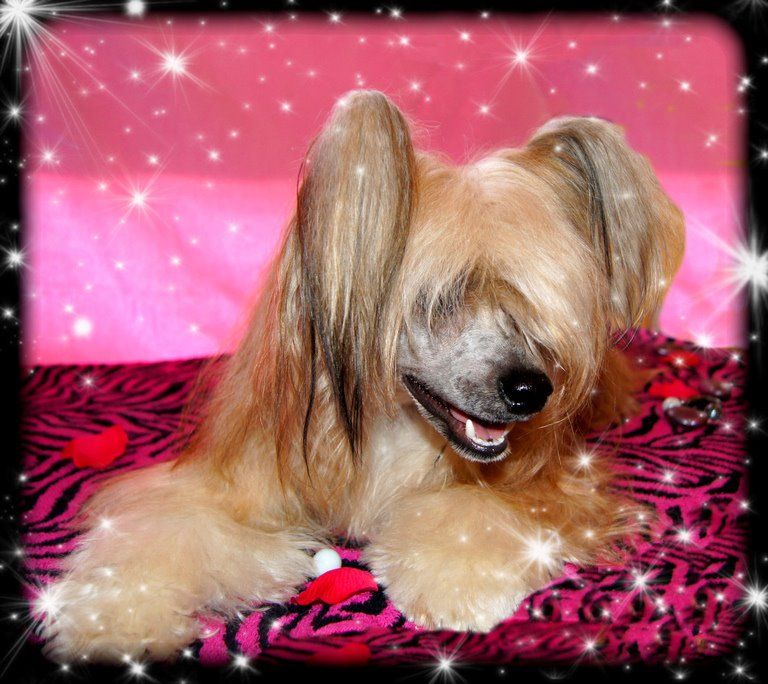 Il était Une Fois Jet Seth