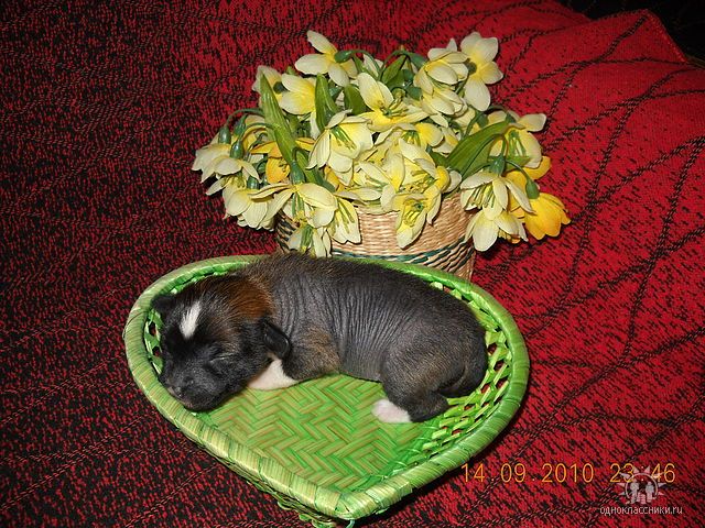Picture