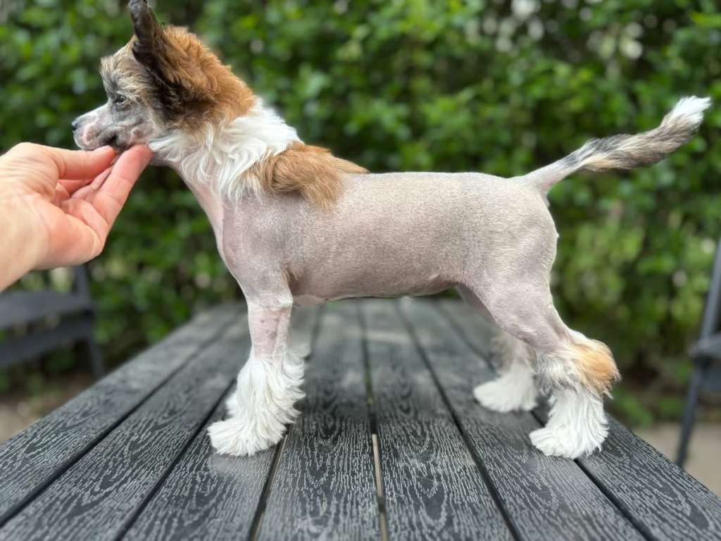 BERIS White Moonland