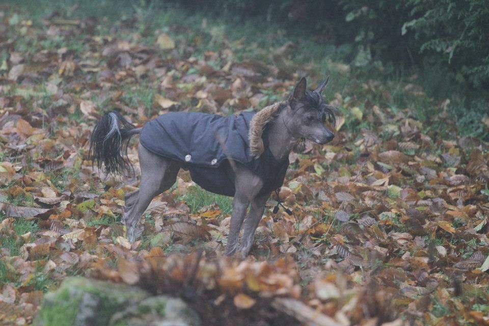 Eden's Garden Guardians of the past memories