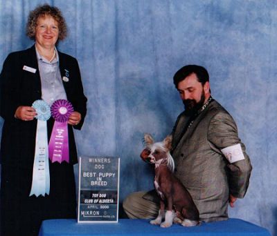 Sunberry's Episode One