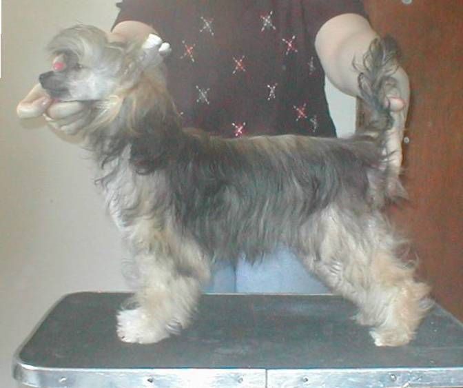 Jahan Outrageous Ramona