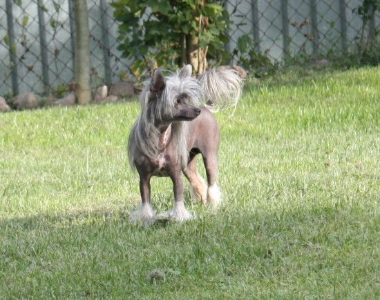 Jut Out Von Shinbashi