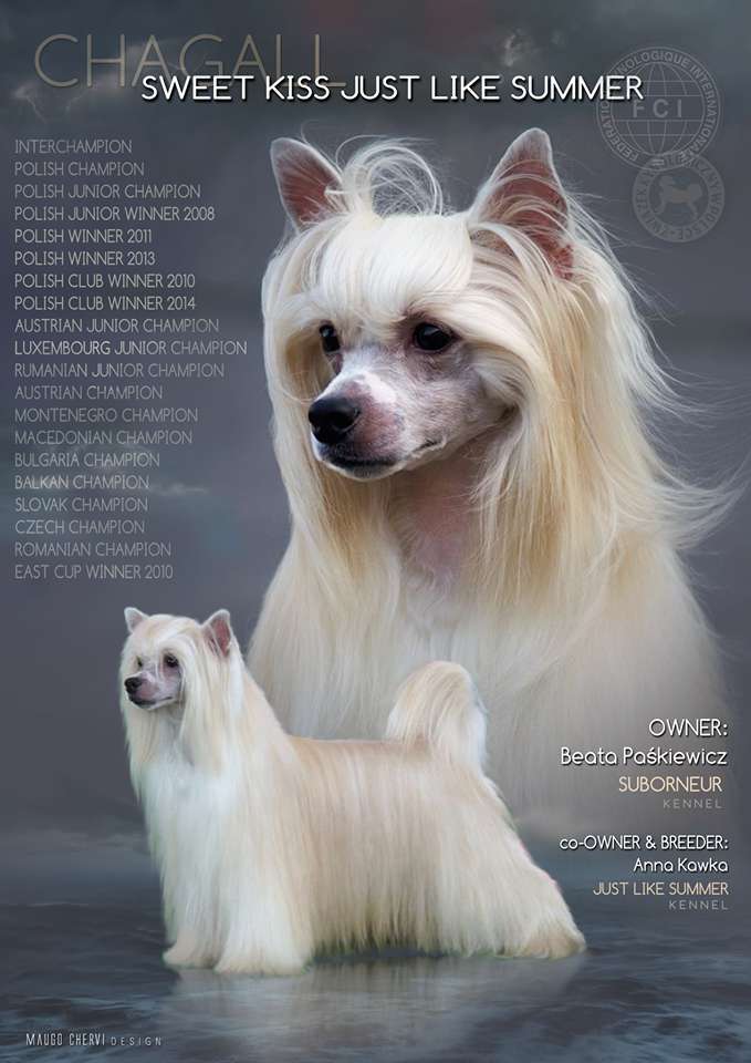 Sweet Kiss Just Like Summer