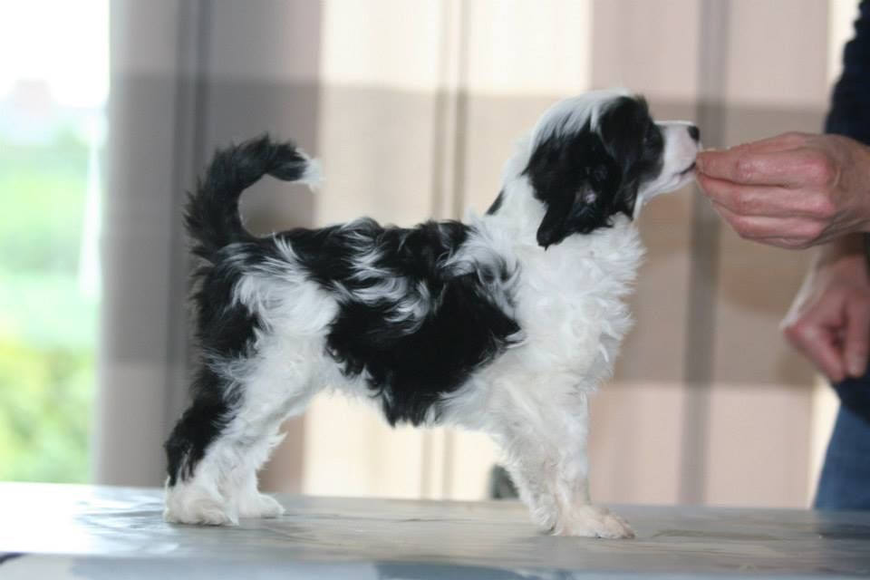 Eagle Eyed Angels Miracle of Love