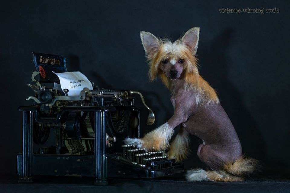 Vivianne Winning Smile