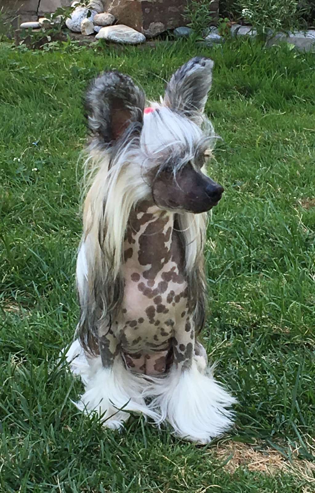 Bomb Performance Natalexx Life