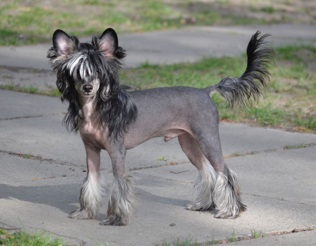 Magic of Success Donovan Magnificent