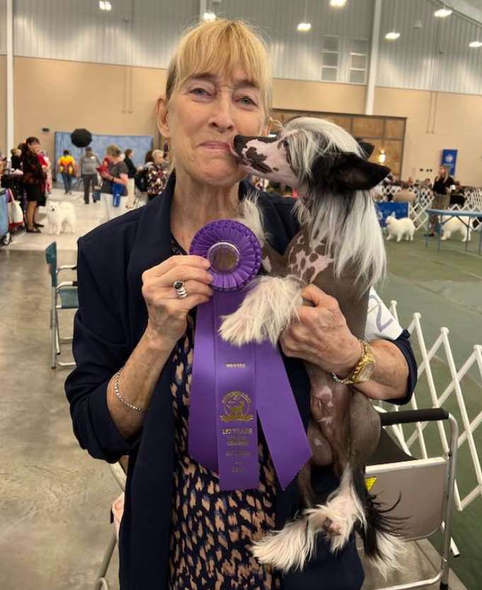 Little Dog of Dream Victorias