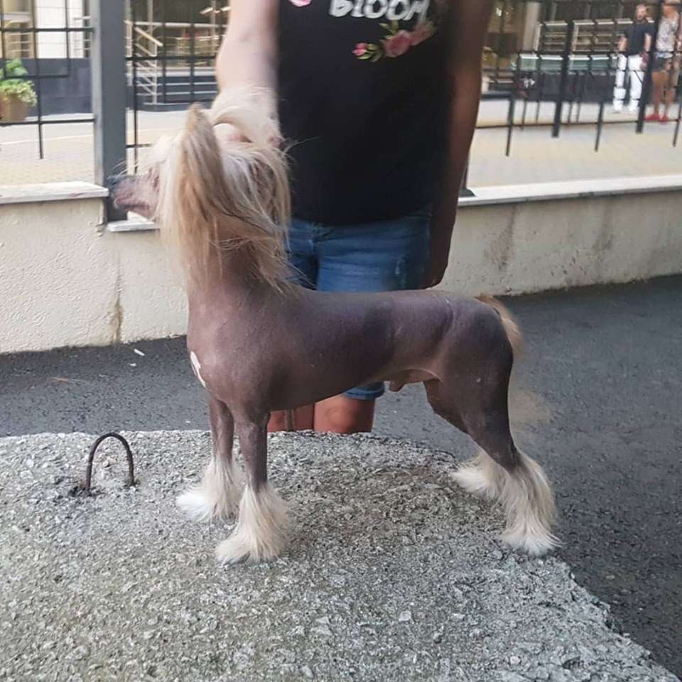 Chance Of A Lifetime Iz Ordena Ekate-Riny