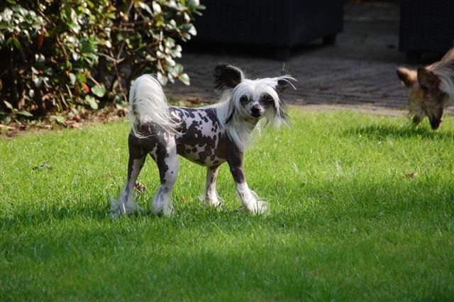 Magic Black and White Of Gizzy's Home