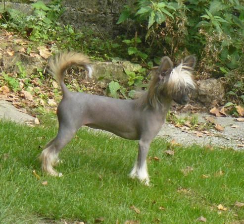 Heidji Top Model De Rama