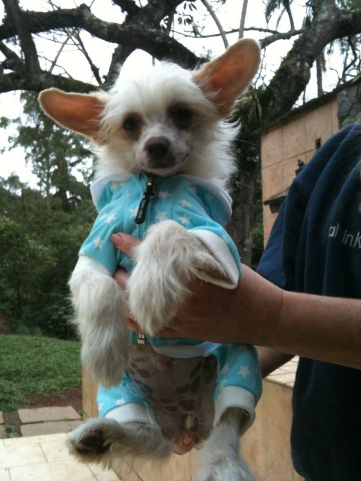 Moonbow's Brigitte Bardot