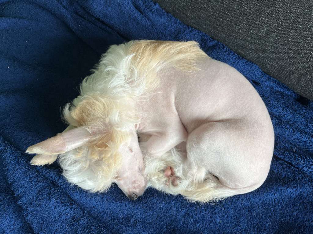 Bibiana od Andre a Sabi