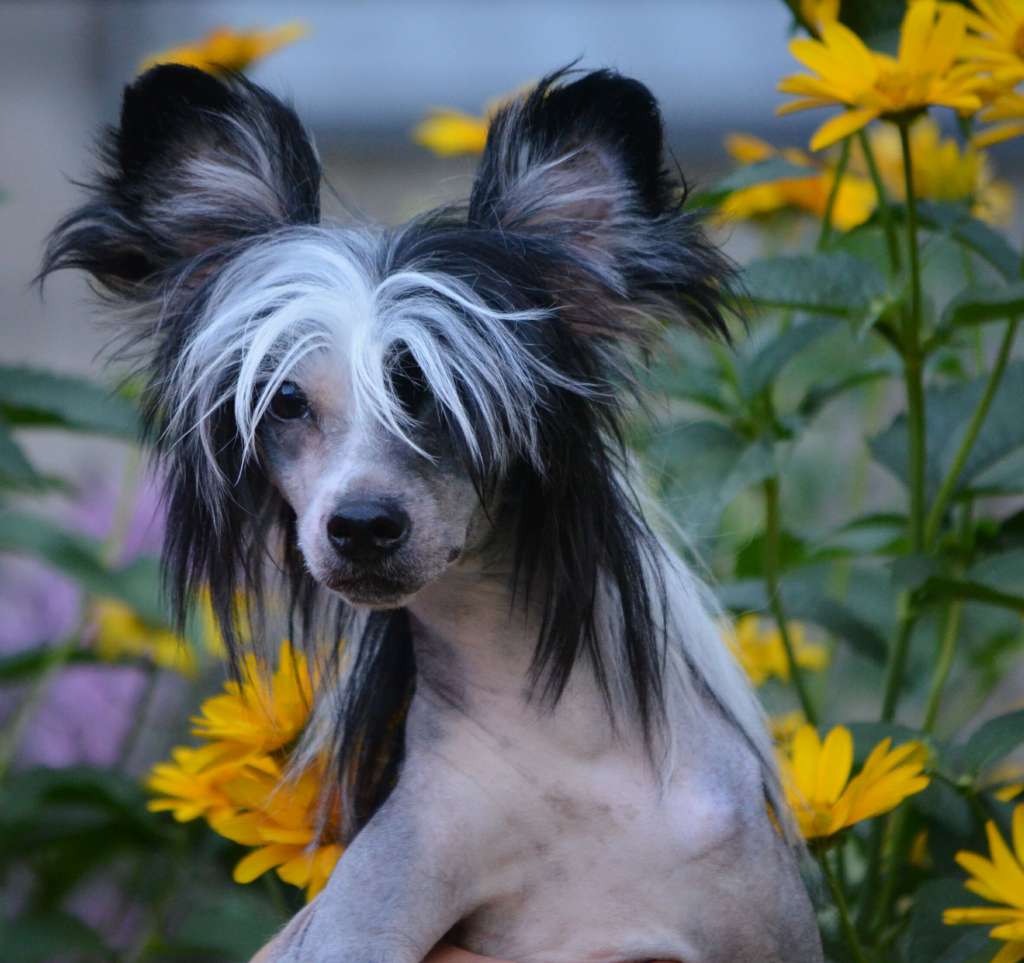 Magic of Success Regina