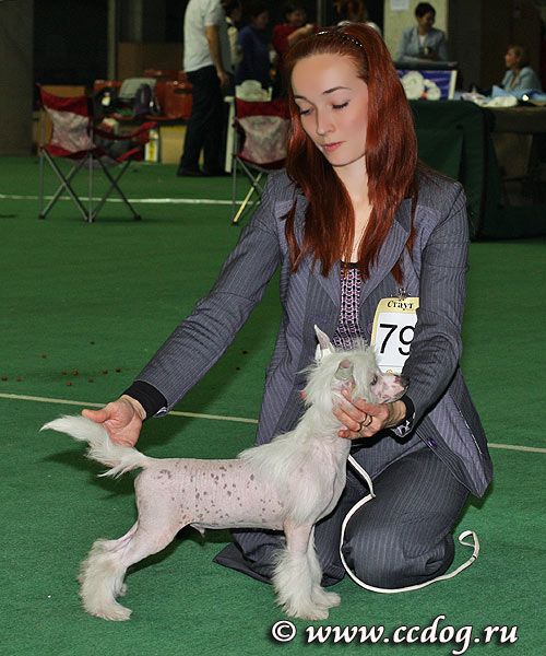 Olegro Katrin Reach Supersonic Speed