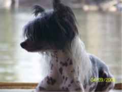 Silver Bluff Jean Paul Gaultier