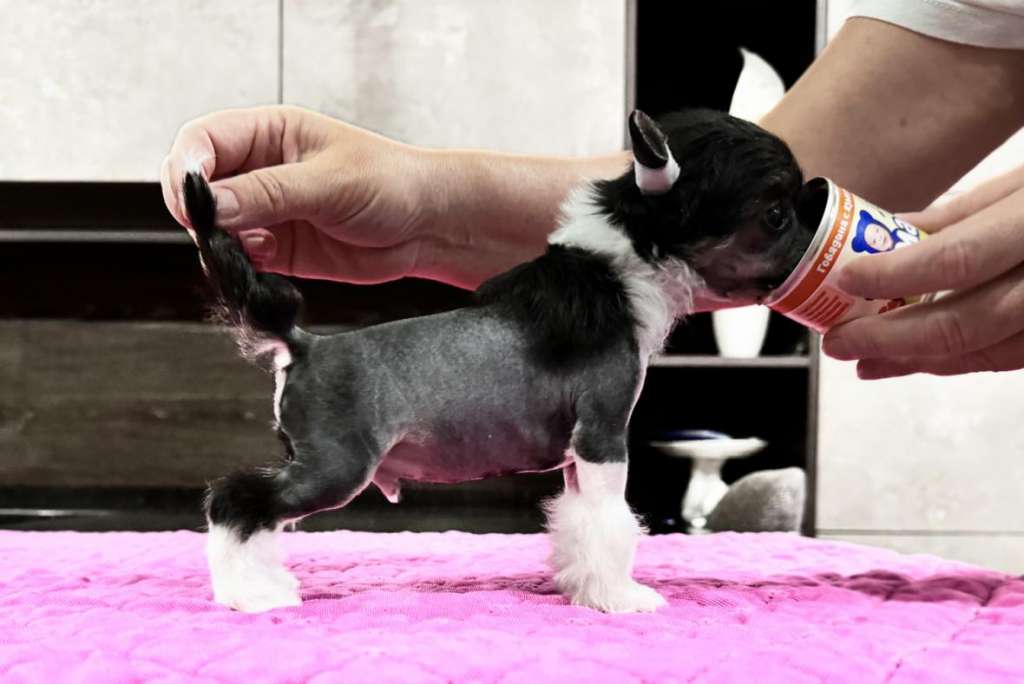 Incanto Del Mondo Kaiser