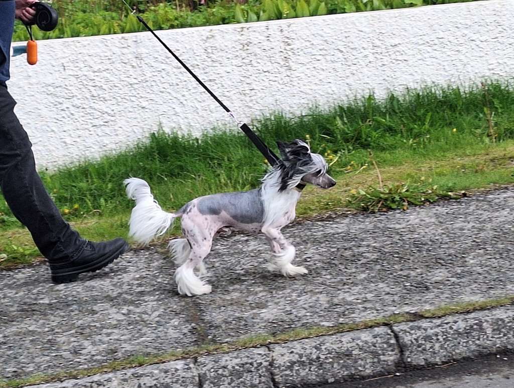 TnTcrested Be My Valentine