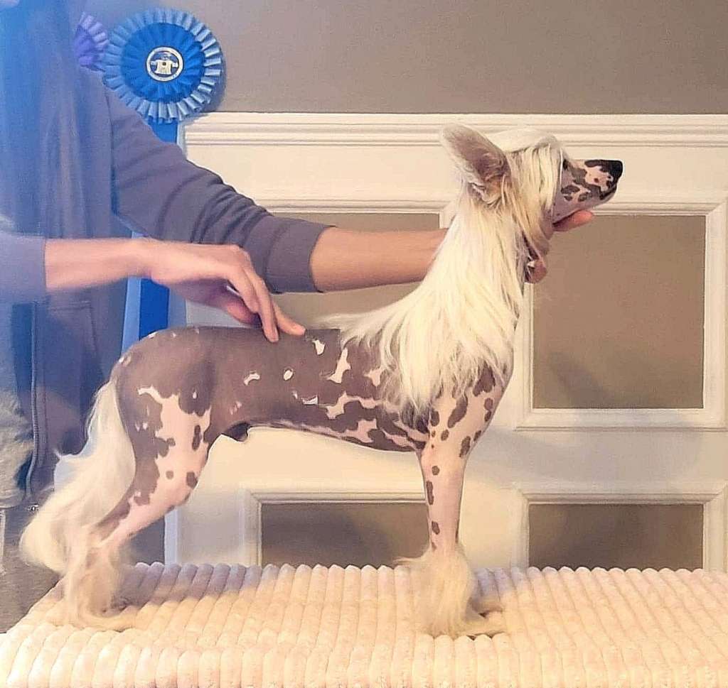 Cerohair impossible is nothing