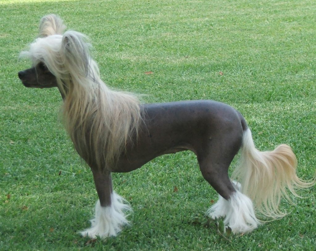 Starrstalactite Ambience