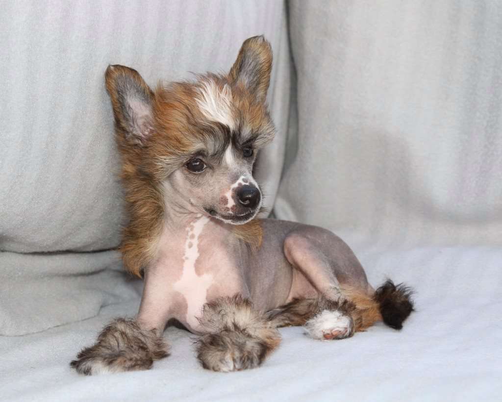 Girls Girls End Of The Line