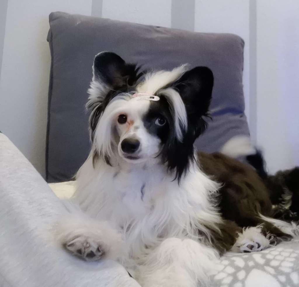 Energy Di Hubba-Bubba