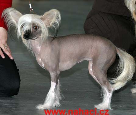 Endie z Al?ova nabrezi