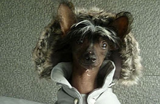 Krésus Top Model De Rama