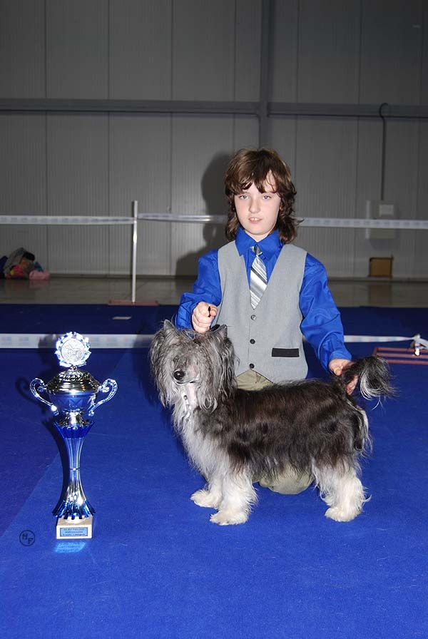 Black Berry Family-frost