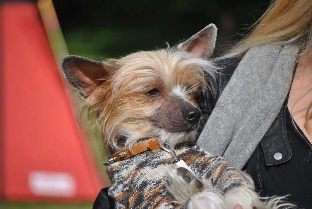 Maximilla's About A Little Secret