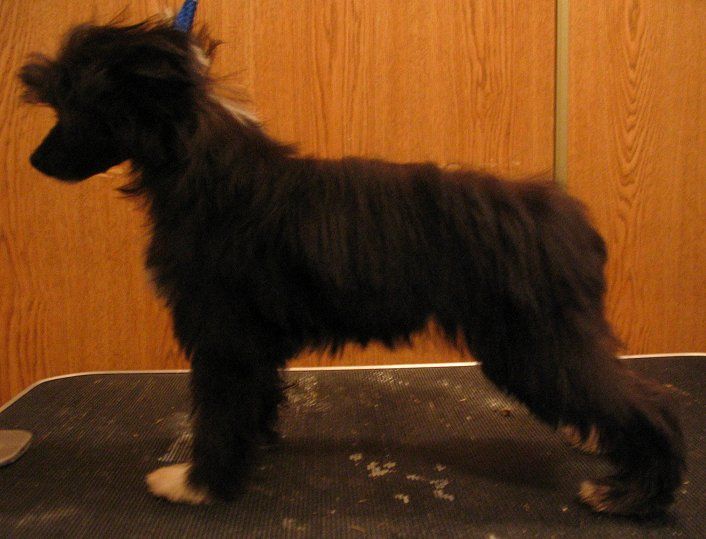 Call It Fate at Gardine