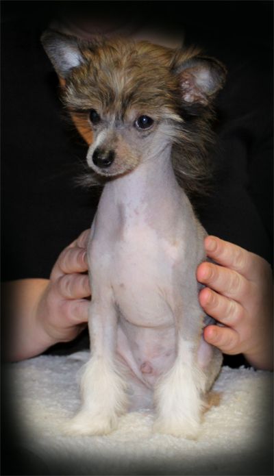 Entourage One Man Riot