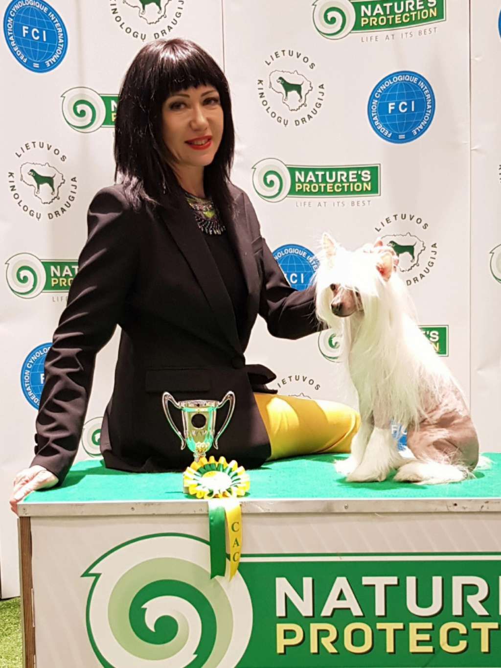 Ch Steal The Game For Satisfaction Gambitas