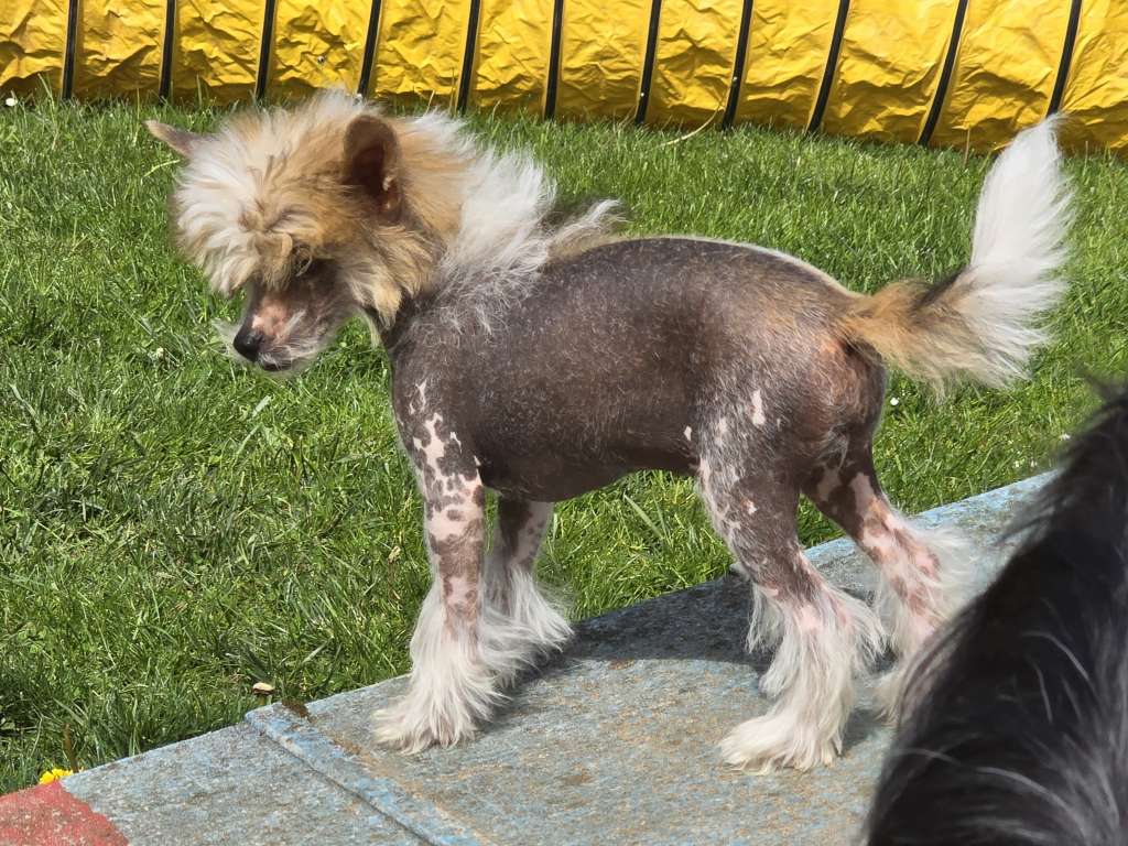 Be Funny von den Weinbergswölfen