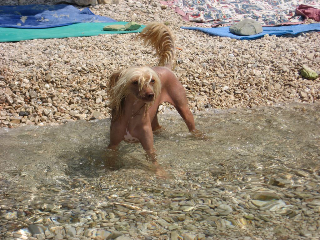 Alessio Bohemia Ortles