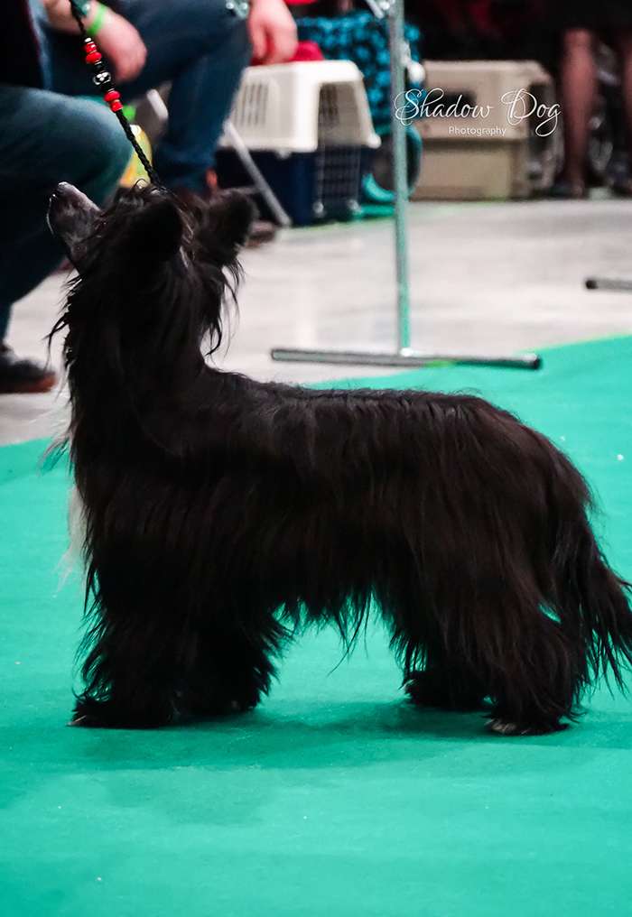 Freya z Królestwa Agarthi